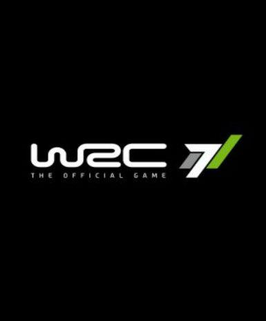 WRC 7 - Image 2