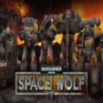 Warhammer 40,000: Space Wolf
