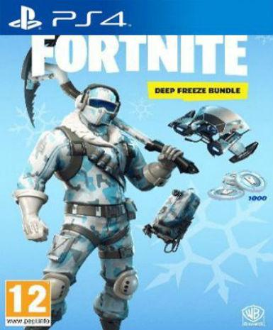 Fortnite: Deep Freeze Bundle EU (PS4) - Image 2